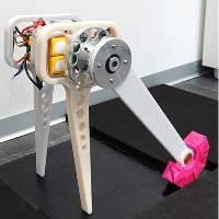 Skippy's head on stilts leaning on its 1-arm crossbar